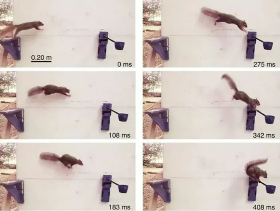 lol比赛回放-癬炠彧?I鞣乇