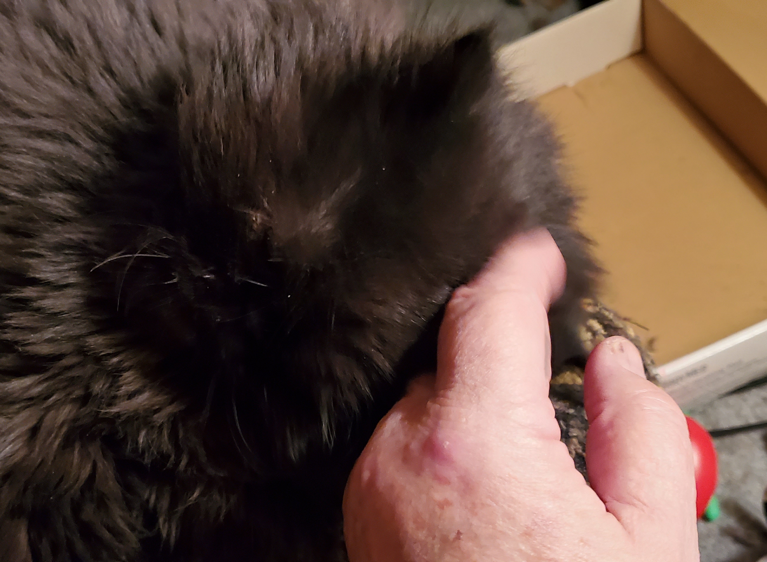 lol皮肤购买-訧~??5(油5L是多少公斤)