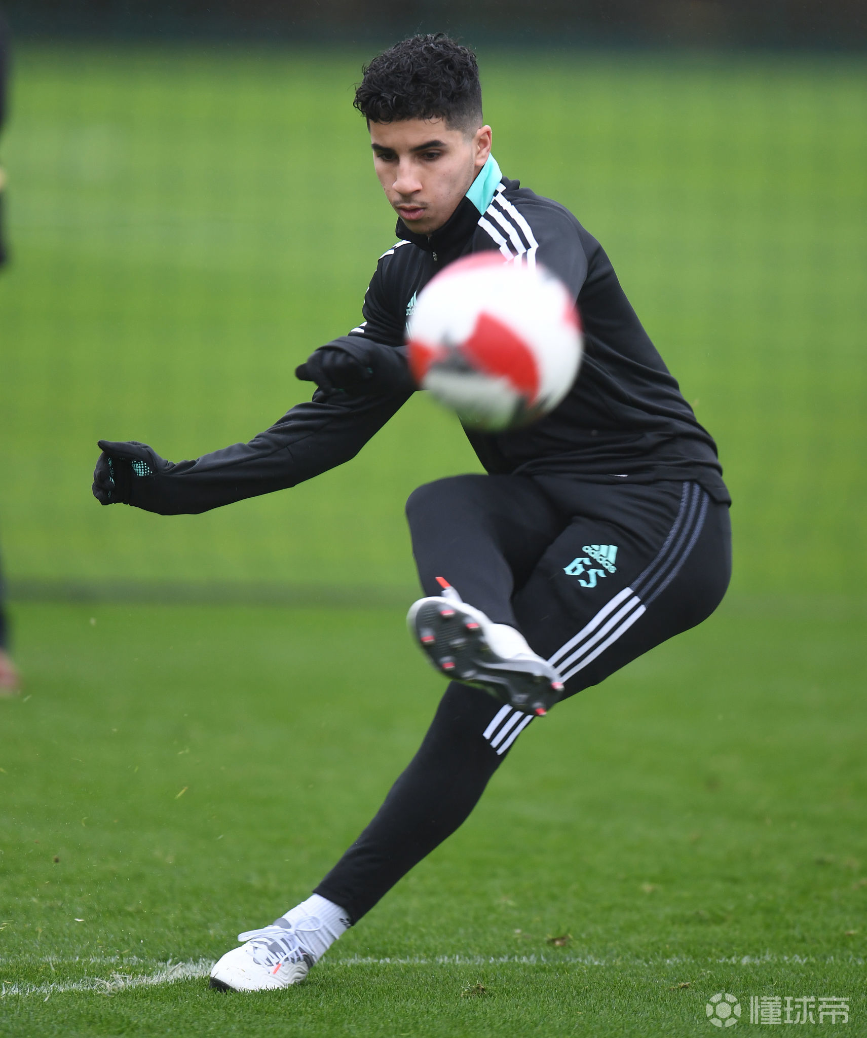 lol比赛回放-关于转会期多伦多猛龙备战足总杯，外线爆发细节曝光，震撼外界，高层口径保持一致的信息